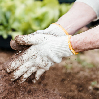 Garden Clothing & Protective Gear Image