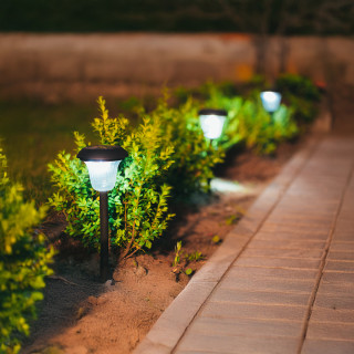 Garden Lighting Image