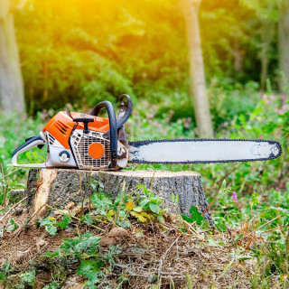 Chainsaws & Accessories Image