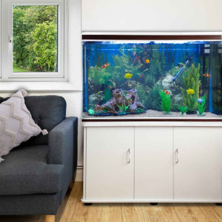 Aquarium Starter Kits Image