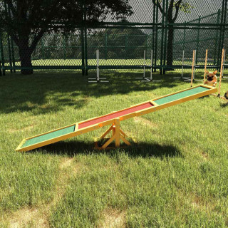 Dog Agility Seesaws Image