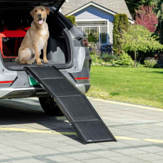 Dog Car Travel Accessories Image