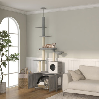 Cat Activity Trees Image