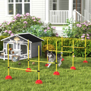 Dog Agility Jumps Image