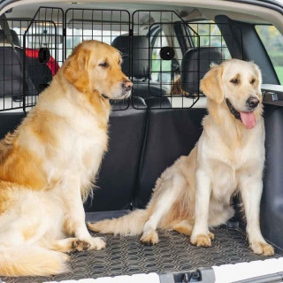 Dog Car Barriers Image