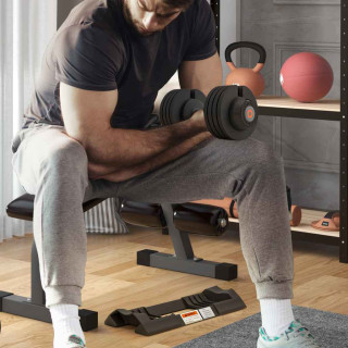 Single Adjustable Dumbbells Image