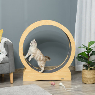 Cat Exercise Wheels Image