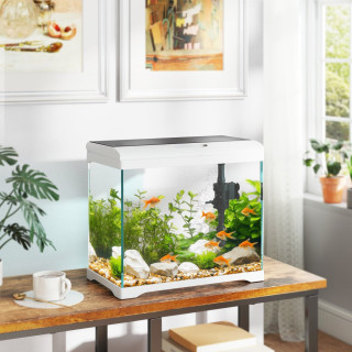 Fish Tanks Image