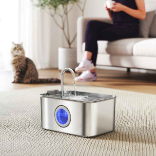 Cat Fountains Image