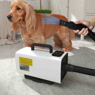 Dog Hair Dryers Image