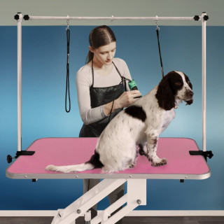 Professional Dog Grooming Tables Image