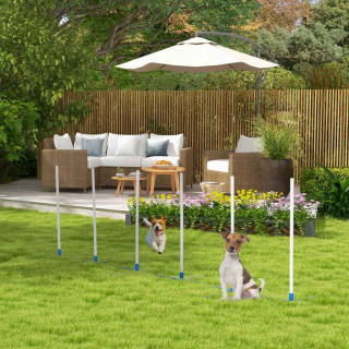 Dog Agility Obstacles Image